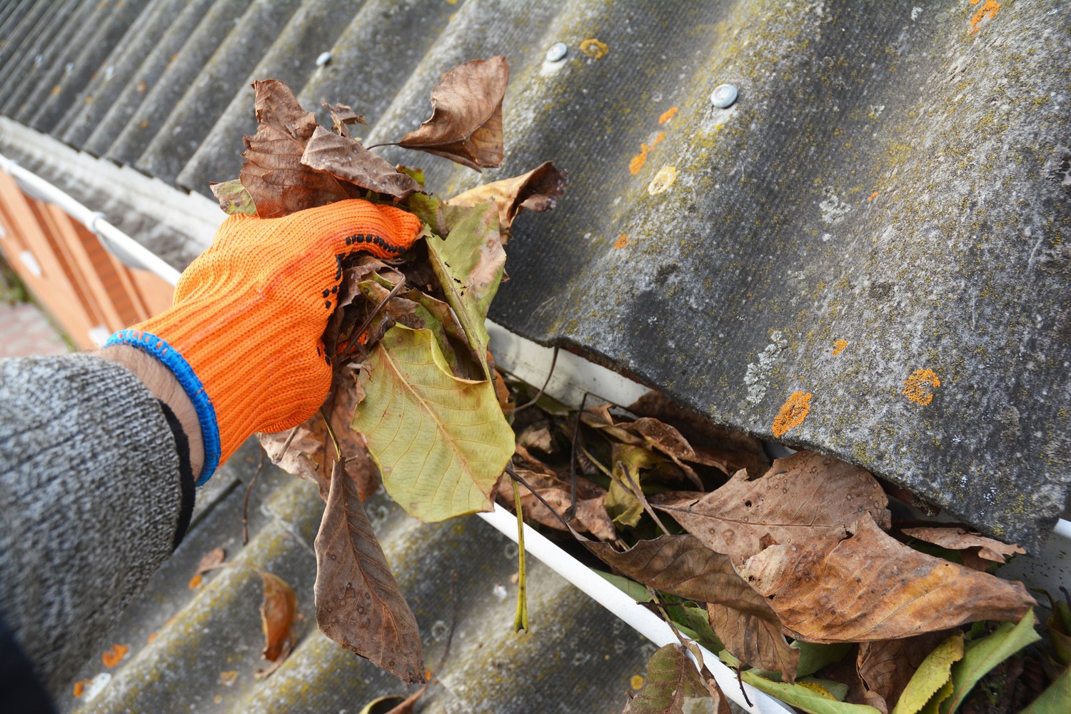 Rain gutter cleaning from leaves in autumn . Roof gutter cleaning tips.